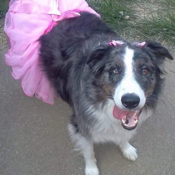 Meet your Posher, Alexis - Picture 2 of 3